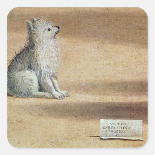 セントオーガスティンのビジョン スクエアシール (正面)