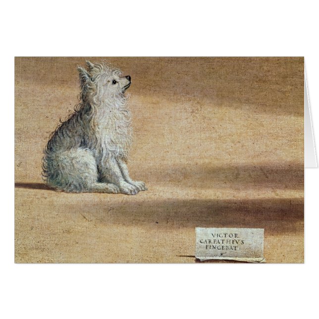 セントオーガスティンの視野 (正面横)