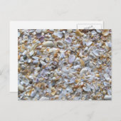 セントオーガスティンビーチ砂。フロリダの小さな貝殻 ポストカード (正面/裏面)