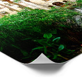 セントオーガスティンフロリダライトナー美術館 ポスター (角)