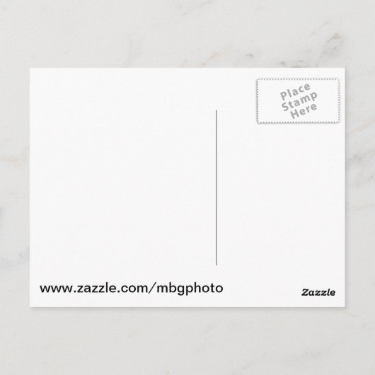 セントオーガスティンライトハウスアットナイト ポストカード (裏面)