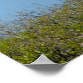 セントオーガスティンライトハウス ポスター (角)