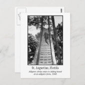 セントオーガスティンレトロアリゲーター ポストカード (正面/裏面)