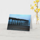 セントオーガスティン桟橋 カード (黄色い花)