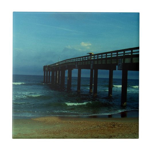 セントオーガスティン桟橋 タイル (正面)