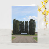 「セントオーガスティン風景」共感カード #2 カード (黄色い花)