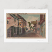 セントオーガスティン、フロリダ州 - セントジョージストリートの景観2 ポストカード (正面)