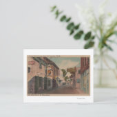 セントオーガスティン、フロリダ州 - セントジョージストリートの景観2 ポストカード (スタンド正面)