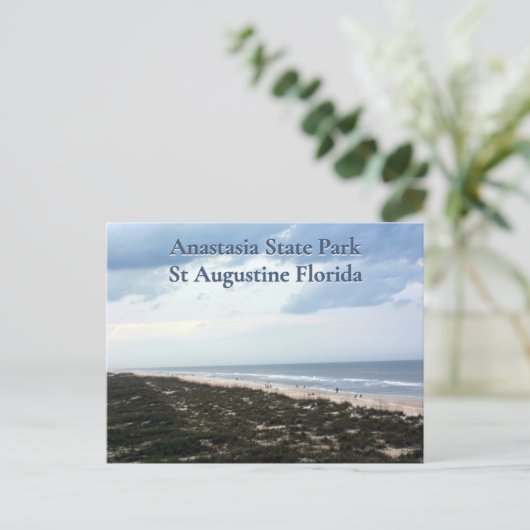 セントオーガスティンFLアナスタシア州パークフォト ポストカード (スタンド正面)