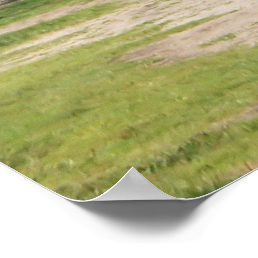 セントオーガスティーヌフロリダの砦カスティーリョデサンマルコス ポスター (角)