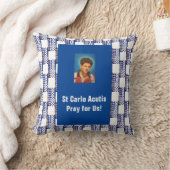 セントカルロアクチュス クッション (ブランケット)