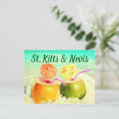 セントクリストファー・ネイビスのココナッツ ポストカード (スタンド正面)