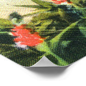 セントクレメント大学のgrotto ポスター (角)