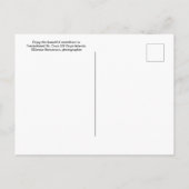 セントクロワ米ヴァージン諸島フレデリックステッド熱帯産 ポストカード (裏面)