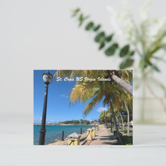 セントクロワ米ヴァージン諸島フレデリックステッド熱帯産 ポストカード (スタンド正面)