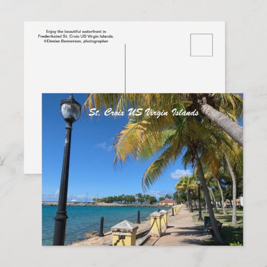 セントクロワ米ヴァージン諸島フレデリックステッド熱帯産 ポストカード (正面/裏面)