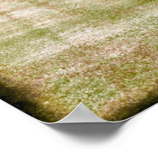 セントクロワ ポスター (角)