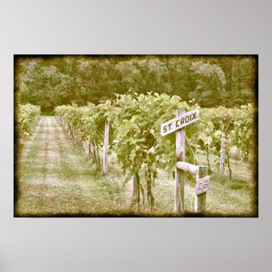 セントクロワ ポスター (正面)