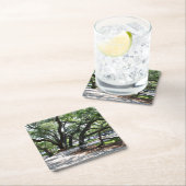 セントサイモンズアイランドGAワンダリングオークフォト スクエアペーパーコースター (インサイチュ)