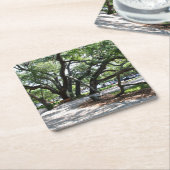 セントサイモンズアイランドGAワンダリングオークフォト スクエアペーパーコースター (アングル)