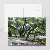 セントサイモンズガワンダリングオーク ポストカード (正面/裏面)