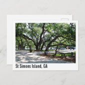 セントサイモンズガワンダーオークツリー ポストカード (正面/裏面)