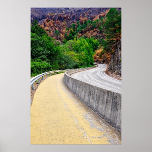 セントジェームスの道 ポスター (正面)