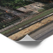 セントジェームス,スペイン港,トリニダードカリブの, ポスター (角)