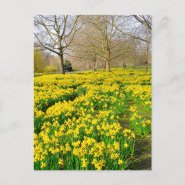 セントジェームズパークロンドンUKポストカード ポストカード