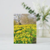 セントジェームズパークロンドンUKポストカード ポストカード (スタンド正面)