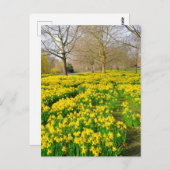 セントジェームズパークロンドンUKポストカード ポストカード (正面/裏面)