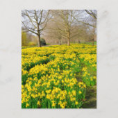 セントジェームズパークロンドンUKポストカード ポストカード (正面)