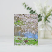 セントジェームズパークロンドンUKポストカード ポストカード (スタンド正面)