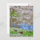 セントジェームズパークロンドンUKポストカード ポストカード (正面/裏面)