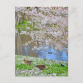 セントジェームズパークロンドンUKポストカード ポストカード (正面)