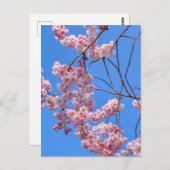 セントジェームズパークロンドンUKポストカード ポストカード (正面/裏面)