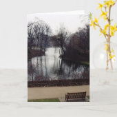 セントジェームズ公園 カード (黄色い花)