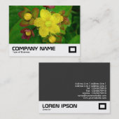 セントジョンズウォット 名刺 (正面/裏面)