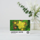 セントジョンズウォット 名刺 (スタンド正面)