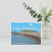 セントジョンズパスブリッジ，フロリダ州ヴィンテージ ポストカード (スタンド正面)