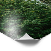 セントジョンズブリッジ フォトプリント            (角)