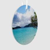セントジョン米ヴァージン諸島 オーナメント (正面)