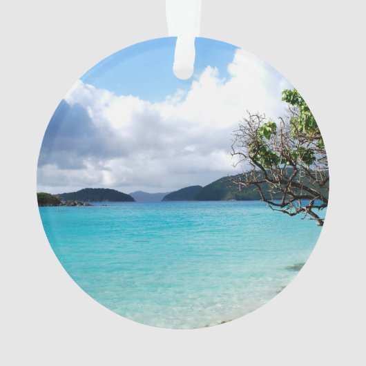 セントジョン米ヴァージン諸島 オーナメント (裏面)