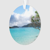 セントジョン米ヴァージン諸島 オーナメント (正面)