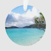 セントジョン米ヴァージン諸島 オーナメント (正面)