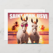 セントジョンUSVIドンキーズオンビーチユニーク ポストカード (正面/裏面)