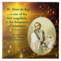 セントセサールドバス(SLE 001)