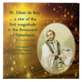 セントセサールドバス(SLE 001) タイル