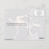 セントセバスチャンバイジャセペデリベラ ポストカード (裏面)