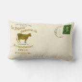 セントチャールズイリノイ乳製品カウミルククリーム1899 ランバークッション (裏面)